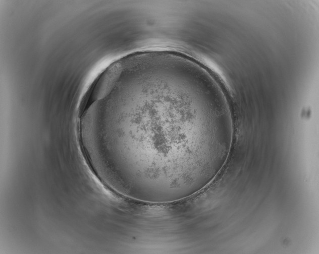 X0000091361472200708101409
