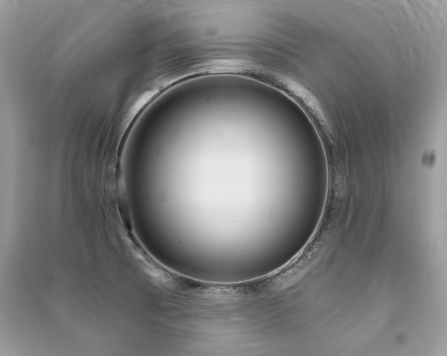 X0000091361473200708101409