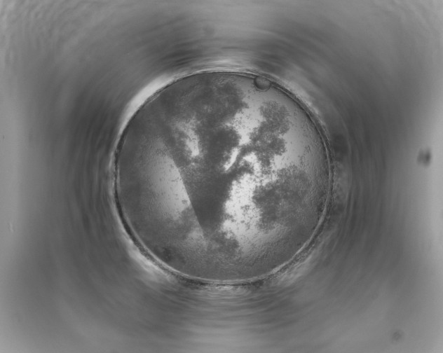 X0000091361474200708101409