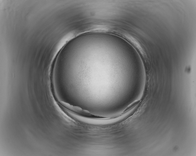 X0000091361475200708101409