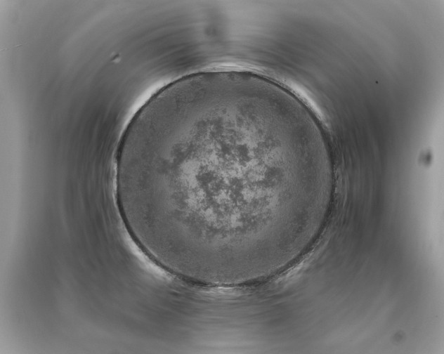 X0000091361476200708101409
