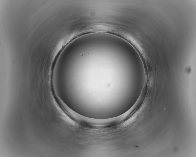 X0000091361477200708101409