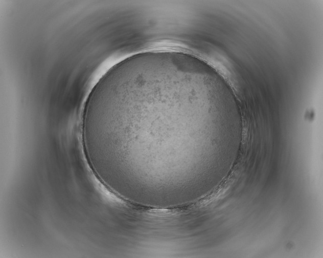 X0000091361478200708101409
