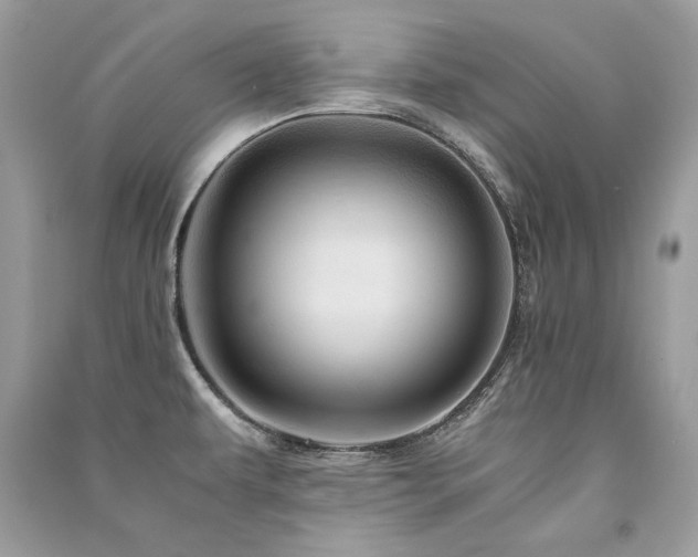 X0000091361479200708101409