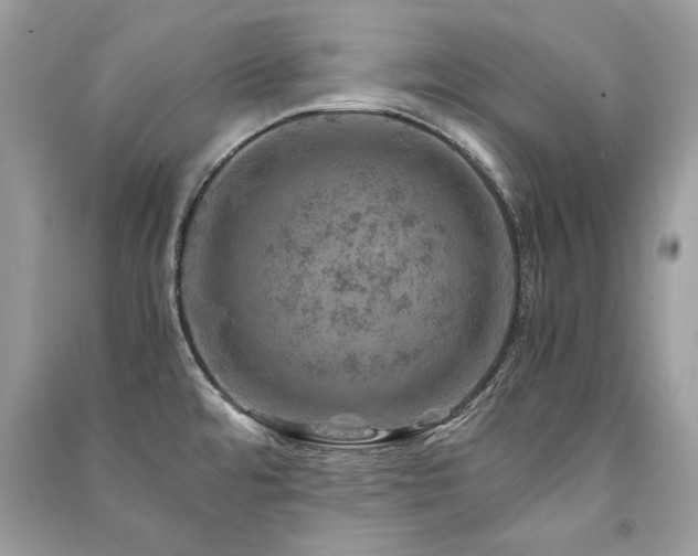 X0000091361480200708101409