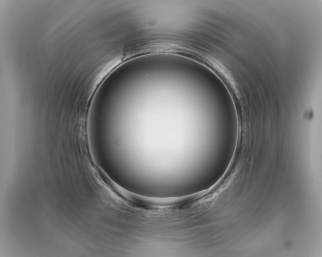 X0000091361481200708101409