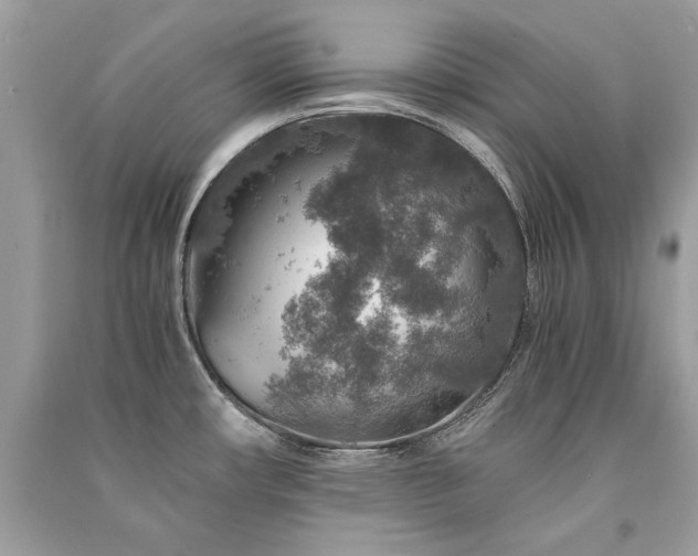 X0000091361482200708101409