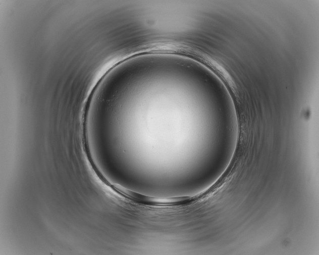 X0000091361483200708101409