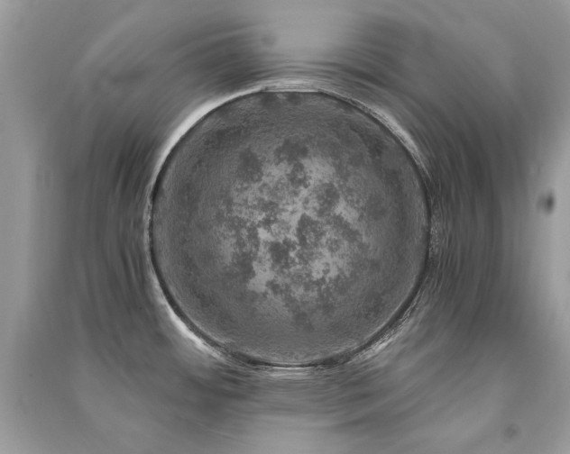 X0000091361484200708101409