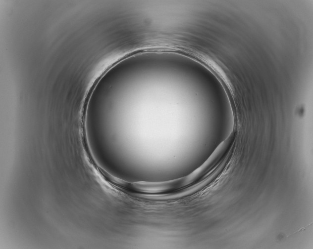X0000091361485200708101409