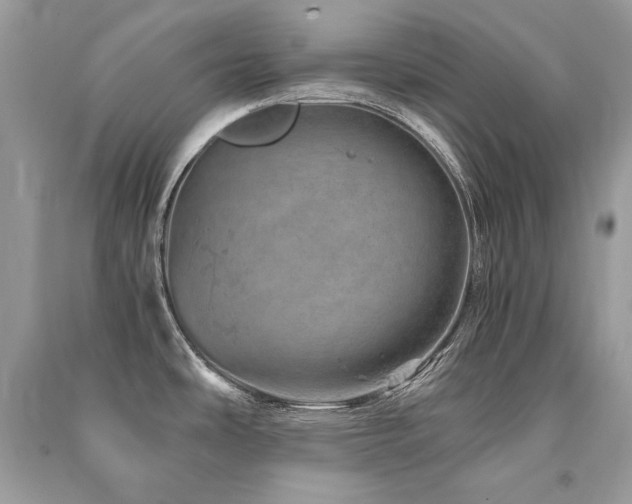 X0000091361486200708101409