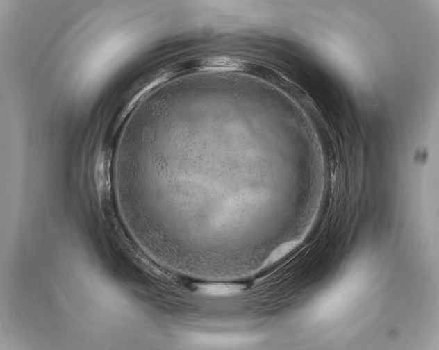 X0000091361487200708101409