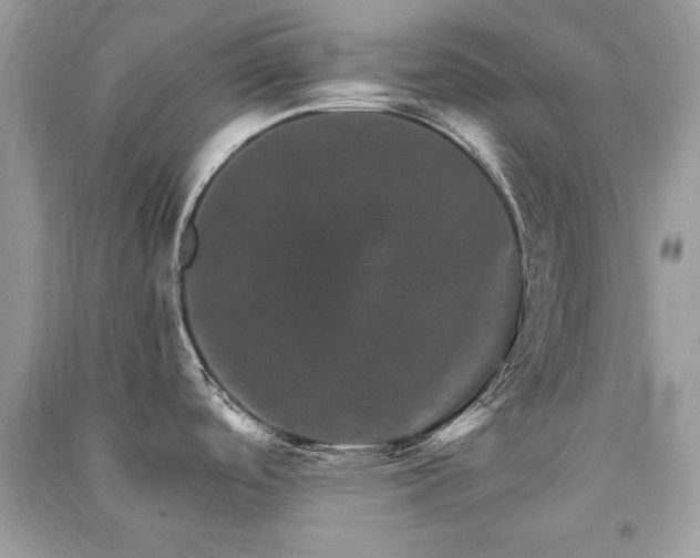 X0000091361488200708101409