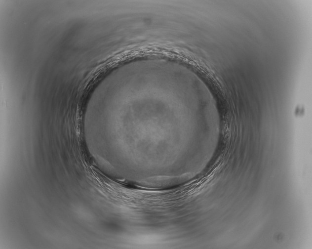 X0000091361490200708101408
