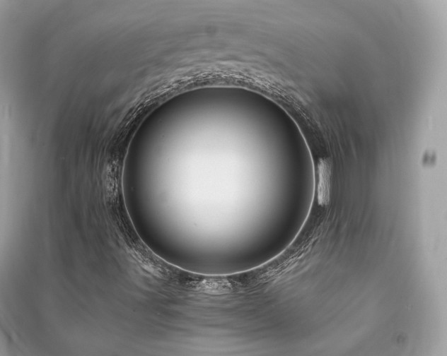 X0000091361491200708101408