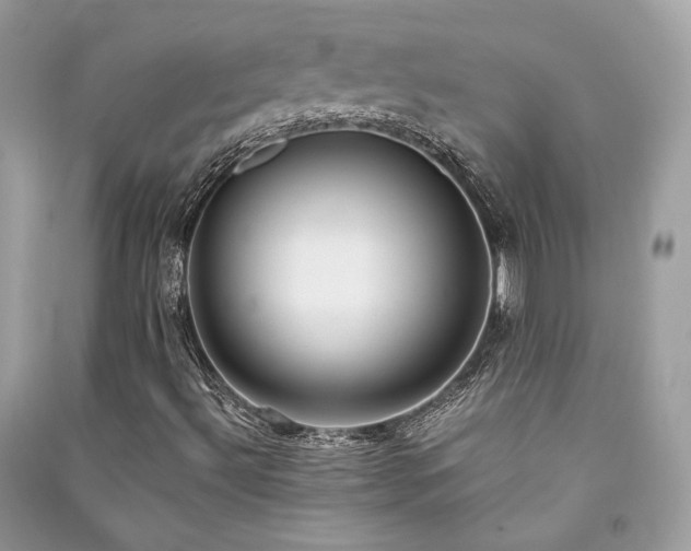X0000091361492200708101408