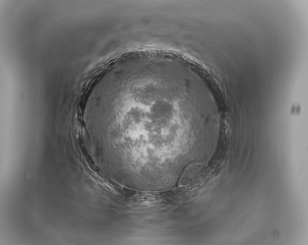 X0000091361493200708101408