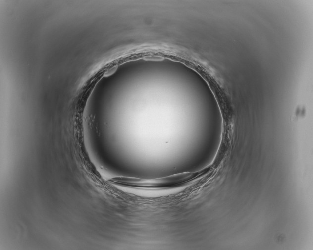 X0000091361496200708101408