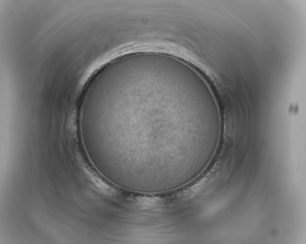 X0000091361498200708101408