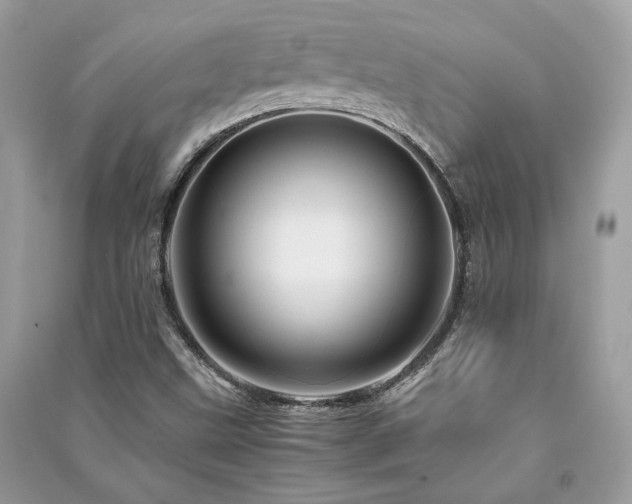 X0000091361499200708101408
