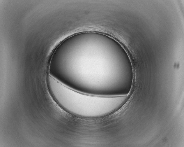 X0000091361500200708101408
