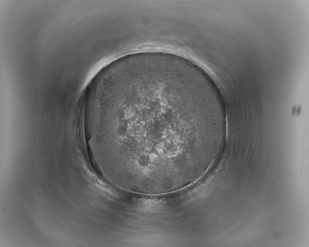 X0000091361501200708101409