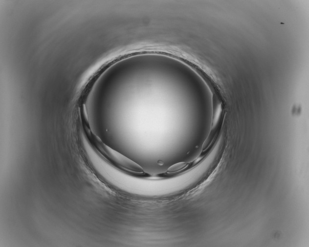 X0000091361502200708101409
