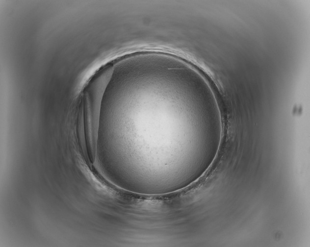 X0000091361503200708101409