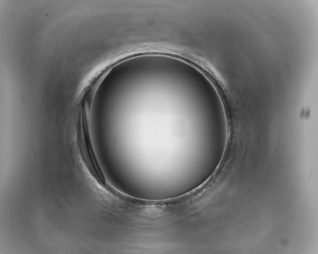 X0000091361504200708101409