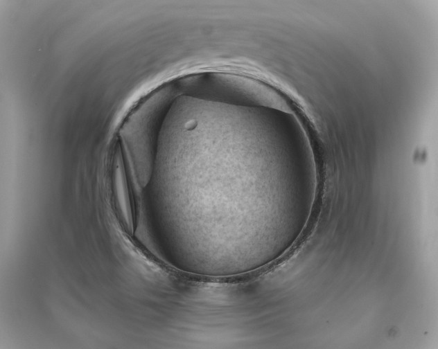X0000091361506200708101409