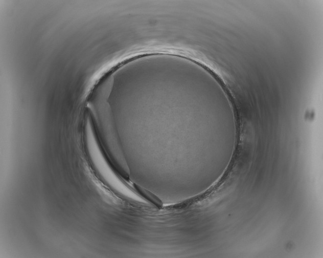 X0000091361507200708101409