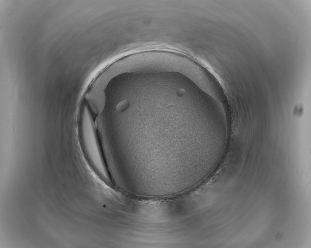 X0000091361508200708101409
