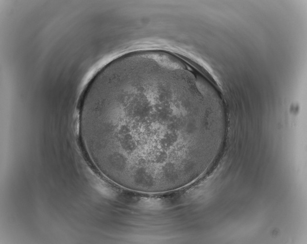 X0000091361509200708101409