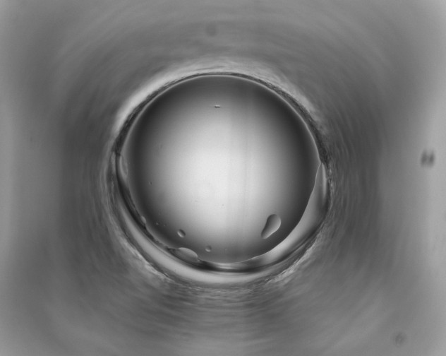 X0000091361510200708101409