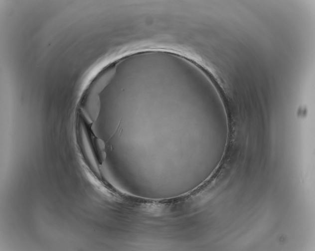 X0000091361511200708101409