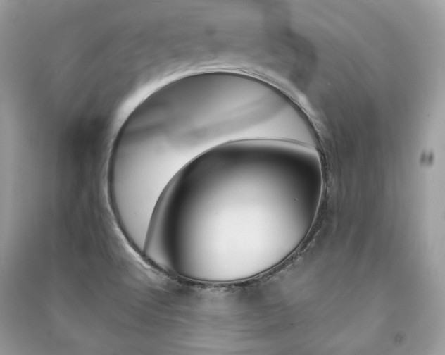 X0000091361512200708101409