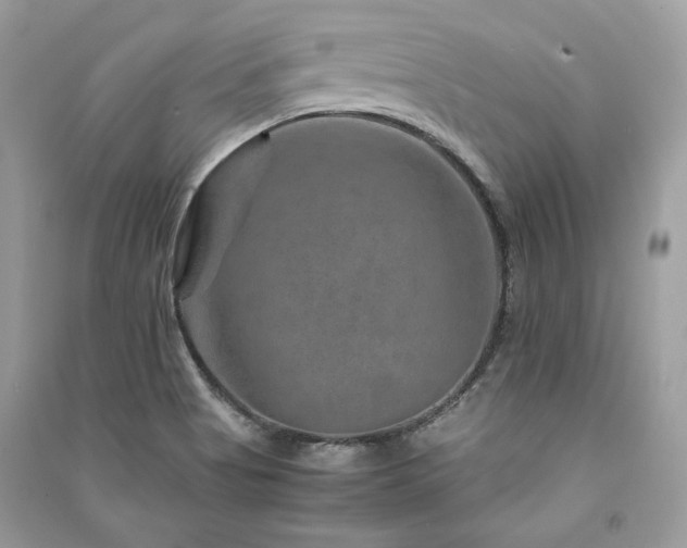 X0000091361513200708101409