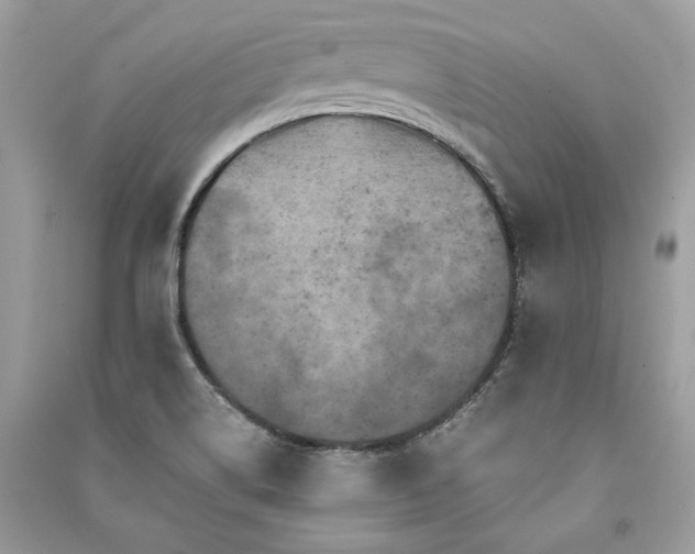 X0000091361514200708101409