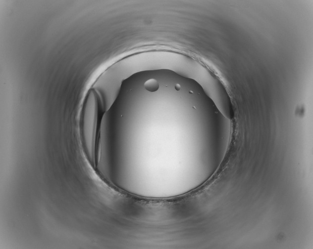 X0000091361516200708101409