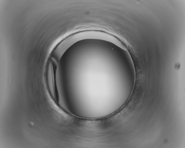 X0000091361518200708101409