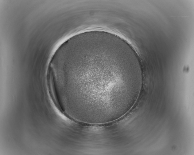 X0000091361519200708101409