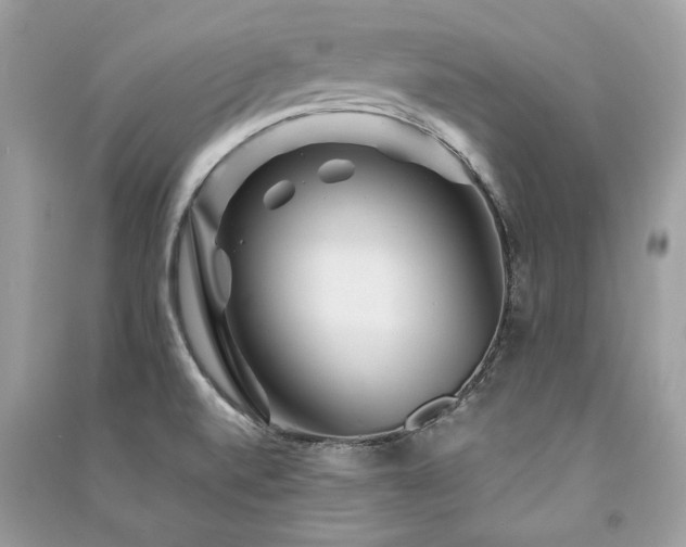 X0000091361520200708101409