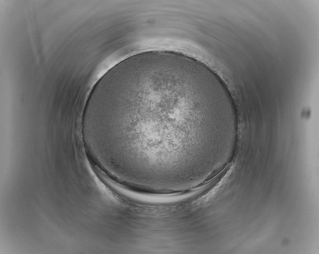 X0000091361521200708101409