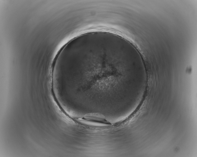 X0000091361522200708101409