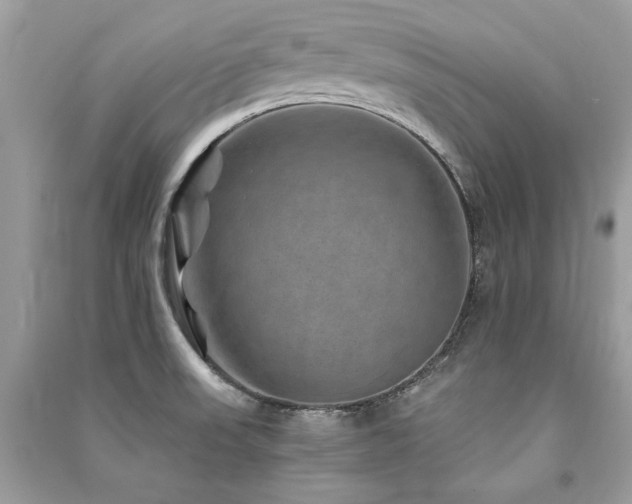 X0000091361523200708101409
