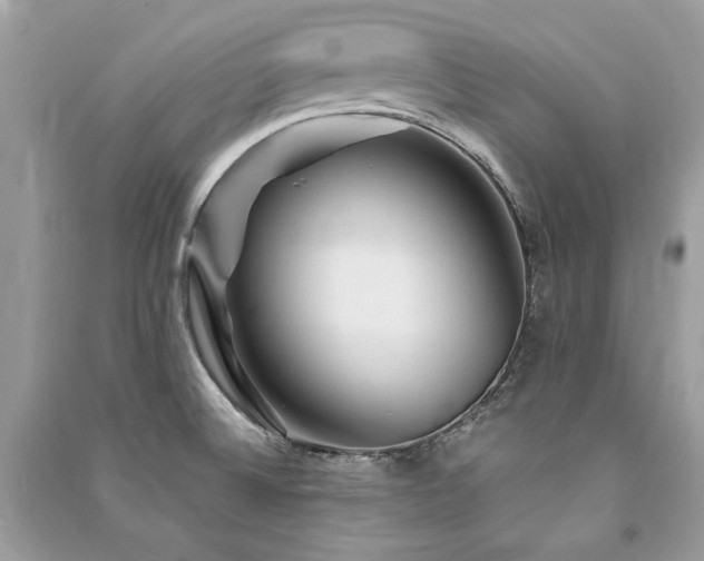 X0000091361524200708101409