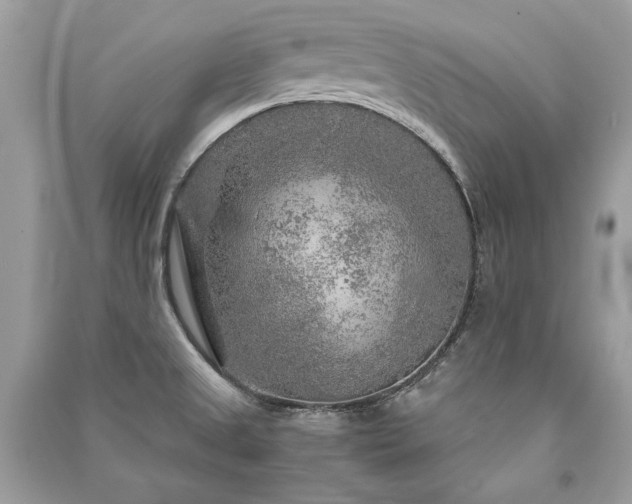 X0000091361525200708101409
