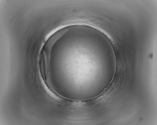 X0000091361526200708101409