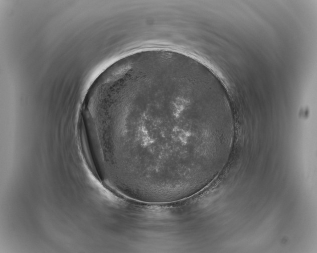 X0000091361527200708101409