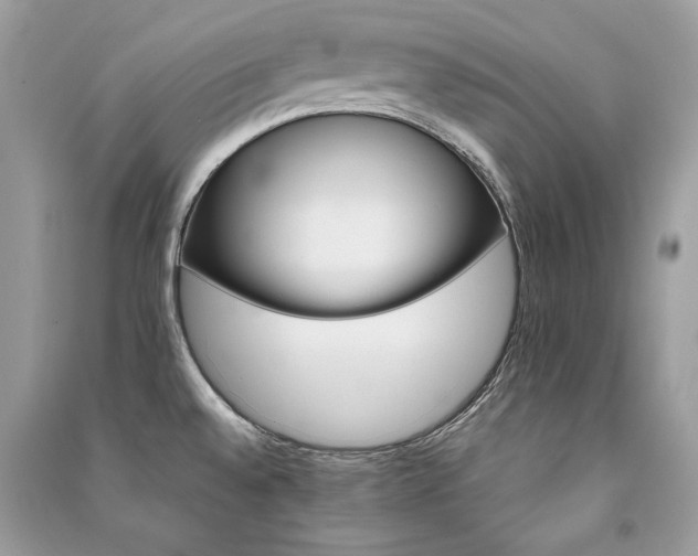 X0000091361528200708101409